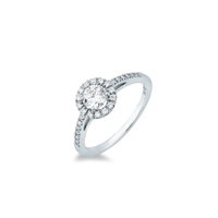 Ring Mirco Visconti Woman solitario con contorno in White Gold Diamante 0.50 Ct LF427/50 - LF427/50